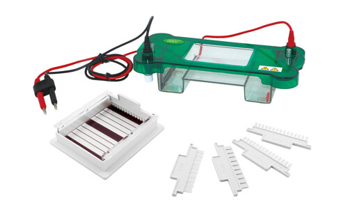 Electroforesis Horizontal YR03416: Mantenimiento Preventivo