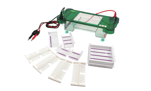 Comparativa de Especificaciones del Electroforesis Horizontal YR03417