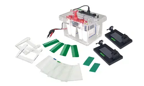 Errores frecuentes y soluciones para la celda de electroforesis vertical de miniproteína YR03426
