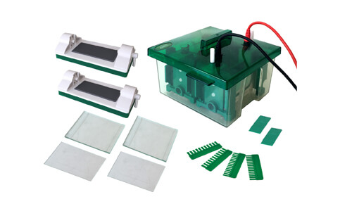 Consumibles y accesorios compatibles con la celda de electroforesis vertical de miniproteína YR03427