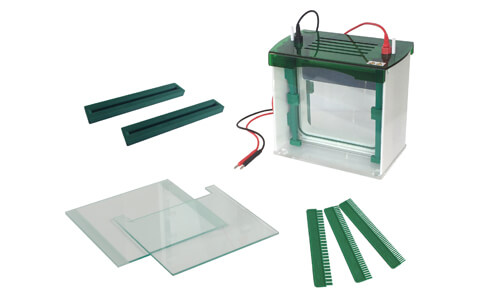 Consumibles y accesorios compatibles con la celda de electroforesis YR03429