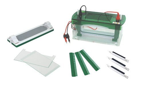 Glosario técnico y terminología clave del equipo Electroforesis vertical rápida SSR YR03430
