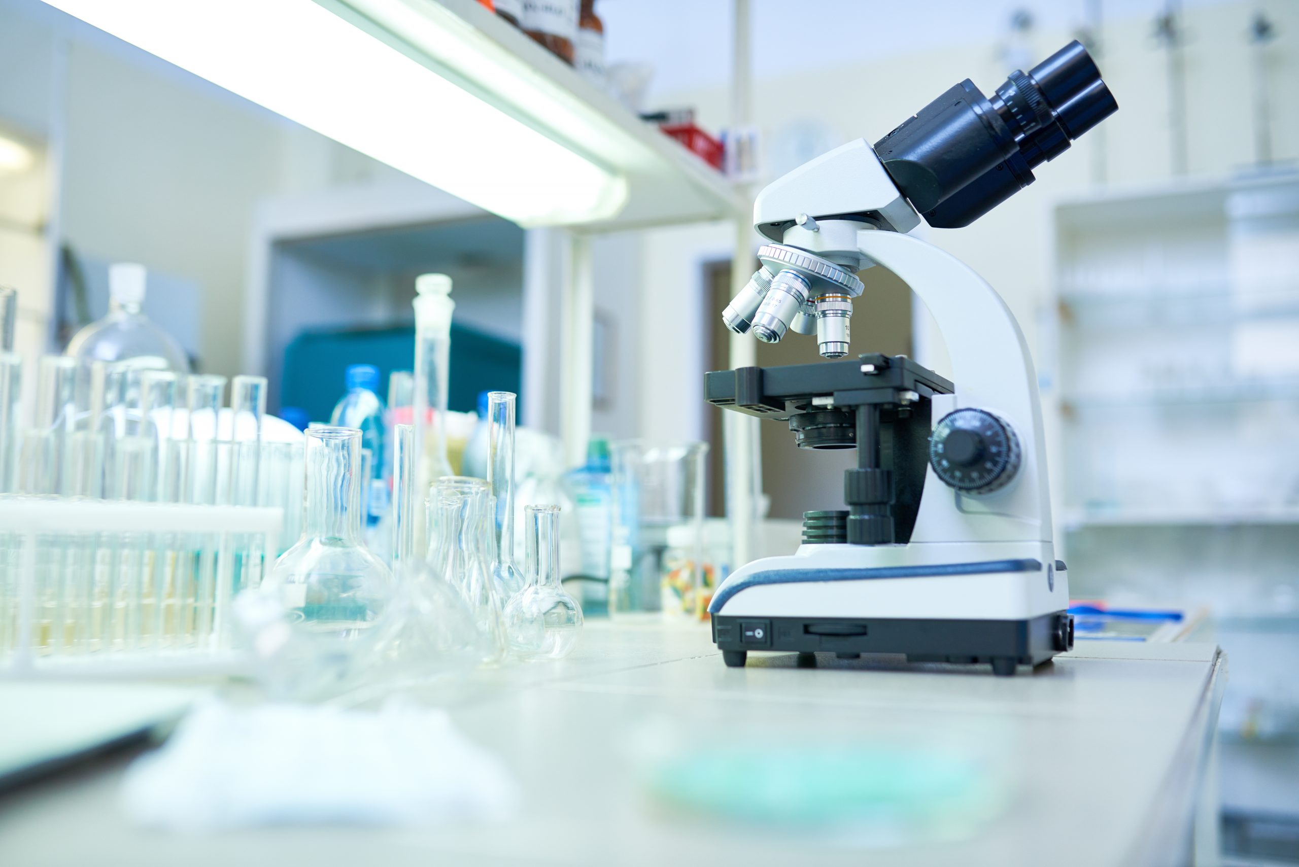 ¿cuales son las 14 partes de un microscopio?