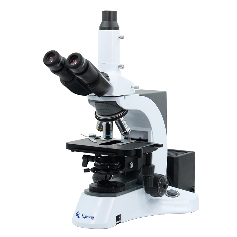 Microscopio Trinocular de Laboratorio YR0231: Precisión Óptica Superior