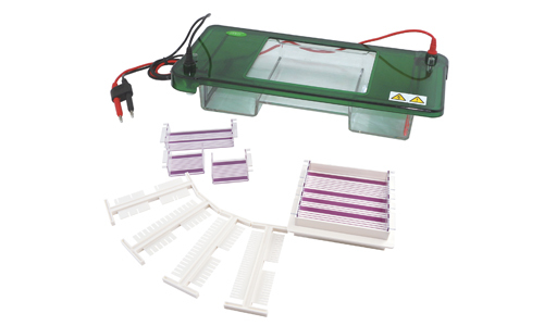 Electroforesis Horizontal YR03418