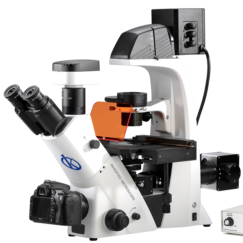 Microscopio Invertido LED Fluorescente: Innovación Óptica para la Investigación