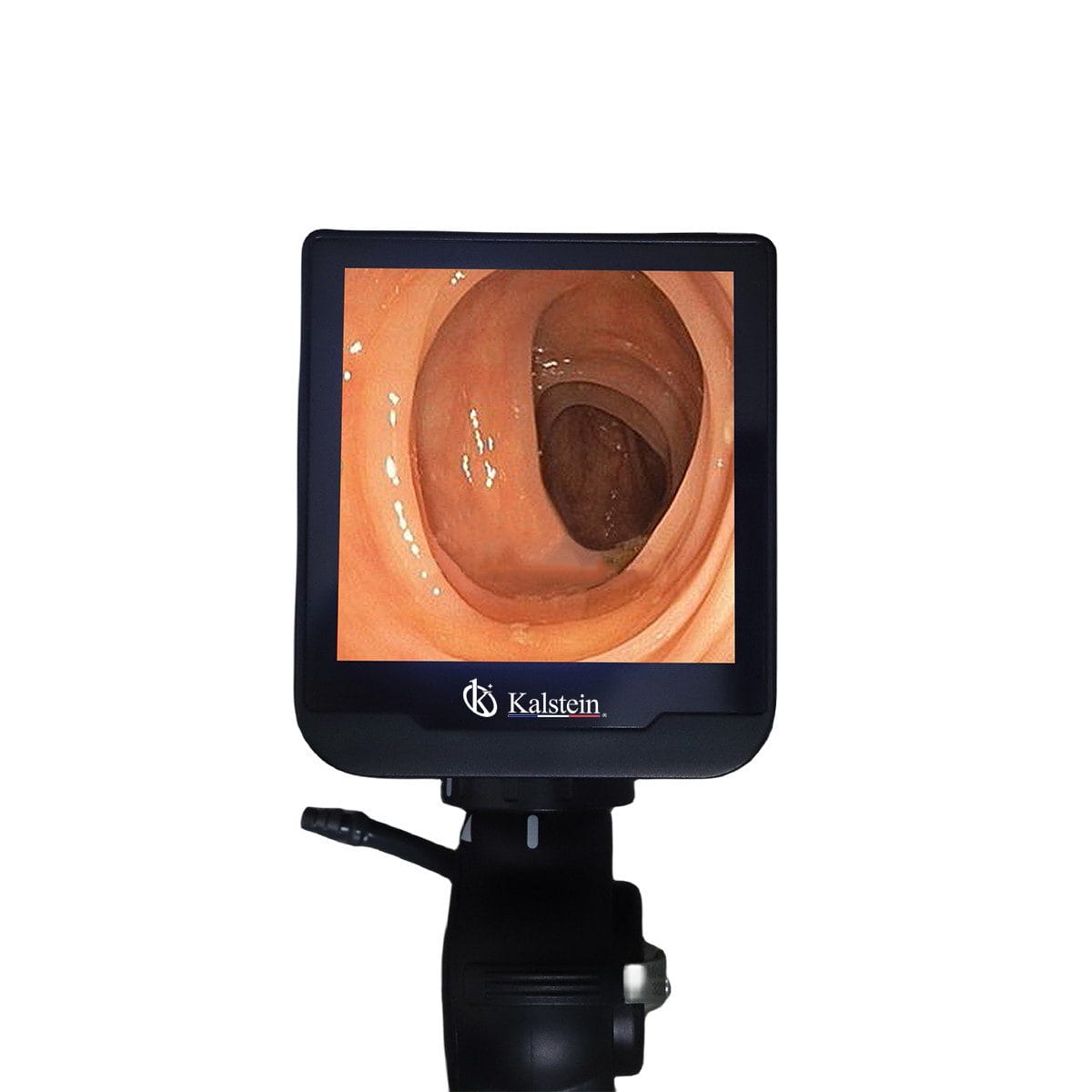 Endoscopio de Vídeo Veterinario Portátil YR06151//YR06155 – 1