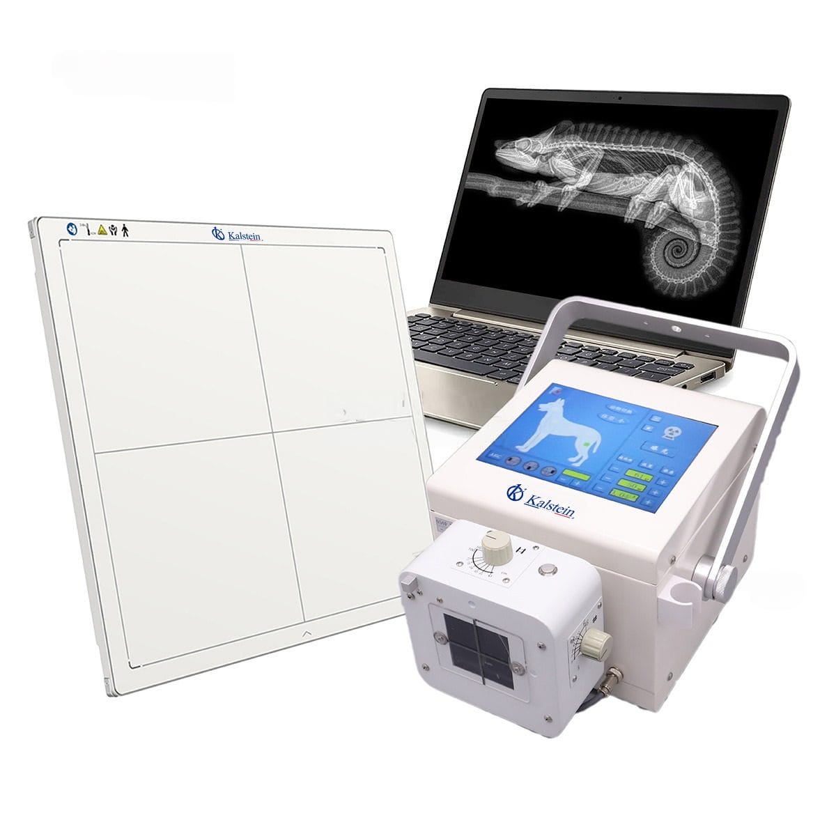 Tecnología Portátil y Avanzada en Rayos X Veterinarios