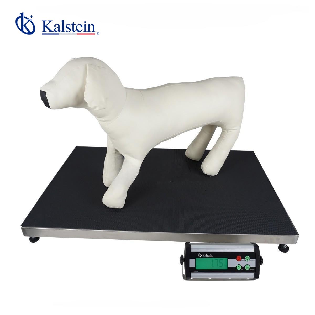 Balanza para Mascotas YR06191 – 2