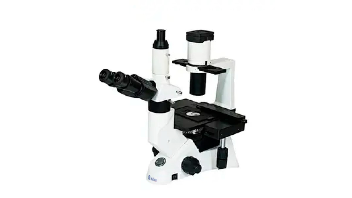 Microscopio Invertido Trinocular YR0230: Rendimiento Técnico y Seguridad