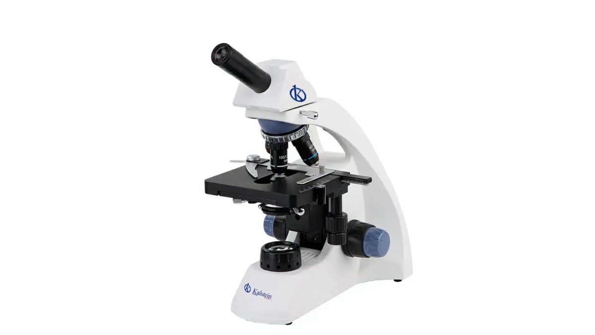 Microscopio Binocular YR0242-M: Innovación y Precisión en Laboratorios